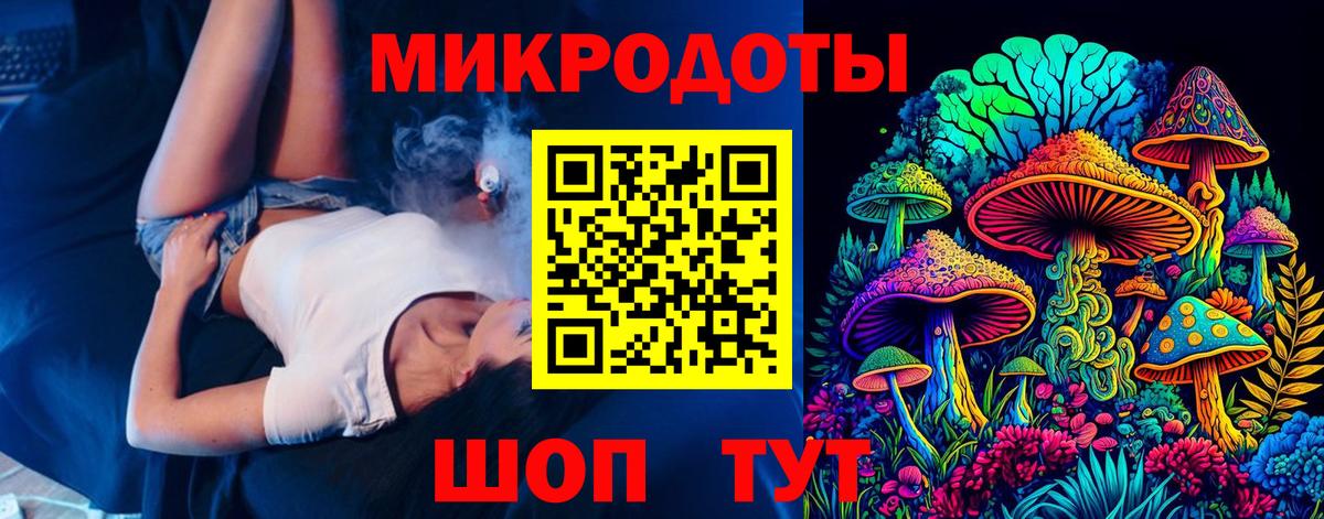 Псилоцибиновые грибы Psilocybine cubensis Азов